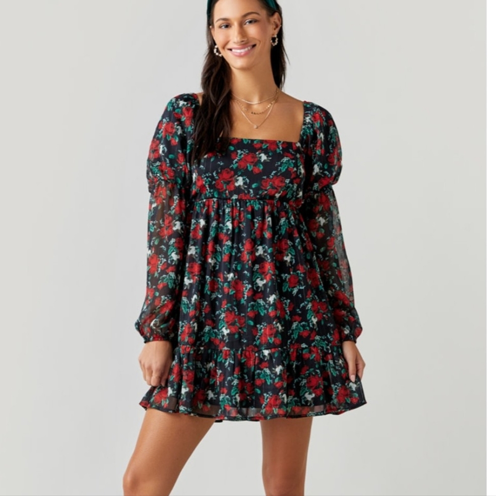 Mi Ami For Francesca's Floral Swing Dress